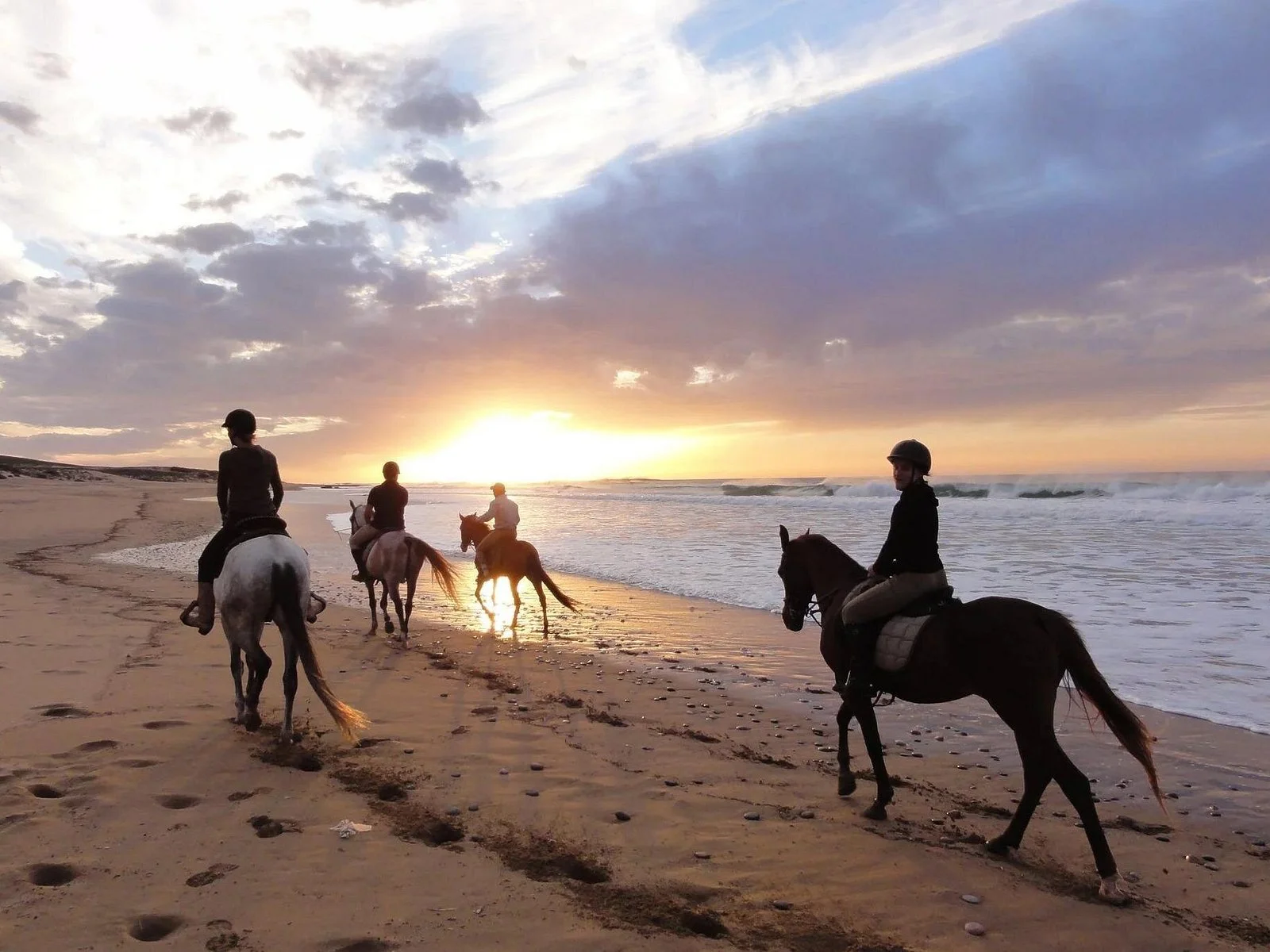 horse camel riding experience in hurghada - Image 1