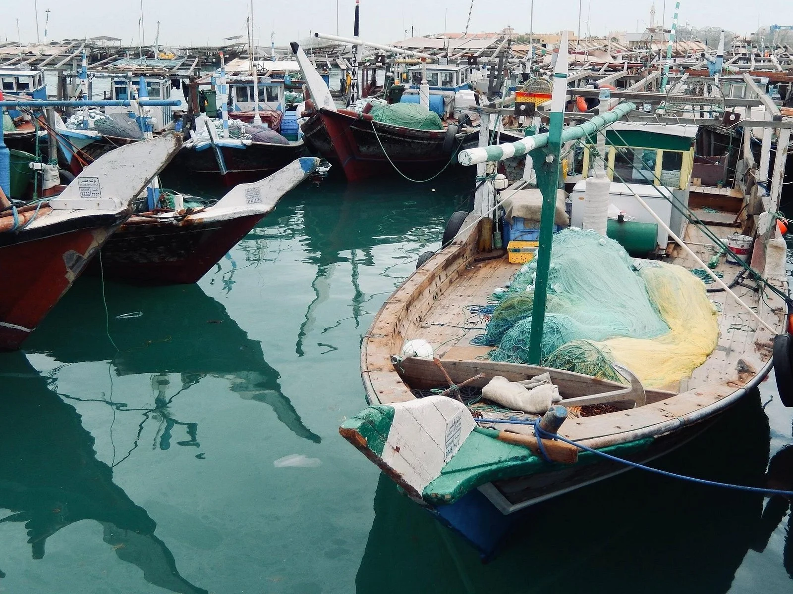 north qatar guided expedition to nature charms - Image 1