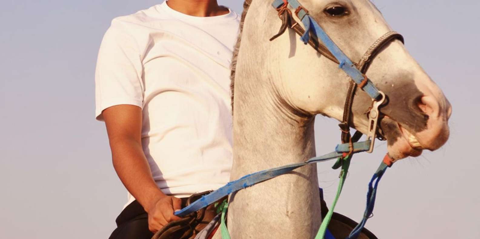 El Gouna: Desert & Red Sea Horse Ride, Swim Optional