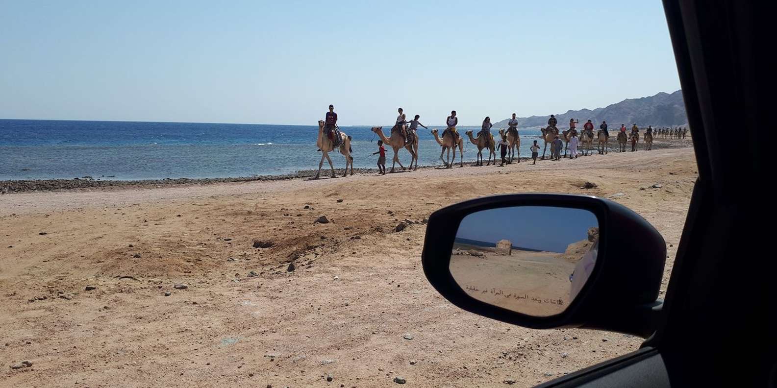 Dahab: Blue Hole Snorkelling and Camel Ride Day Trip