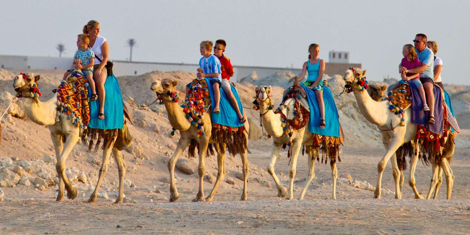 Hurghada: Camel Ride, Blue Lagoon, BBQ, and Stargazing