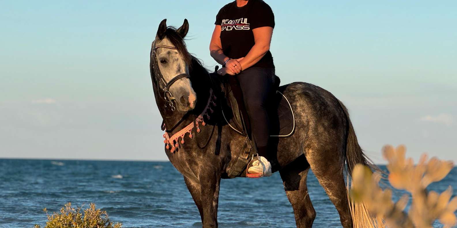 Hurghada: Desert and Beach Horse Riding Adventure