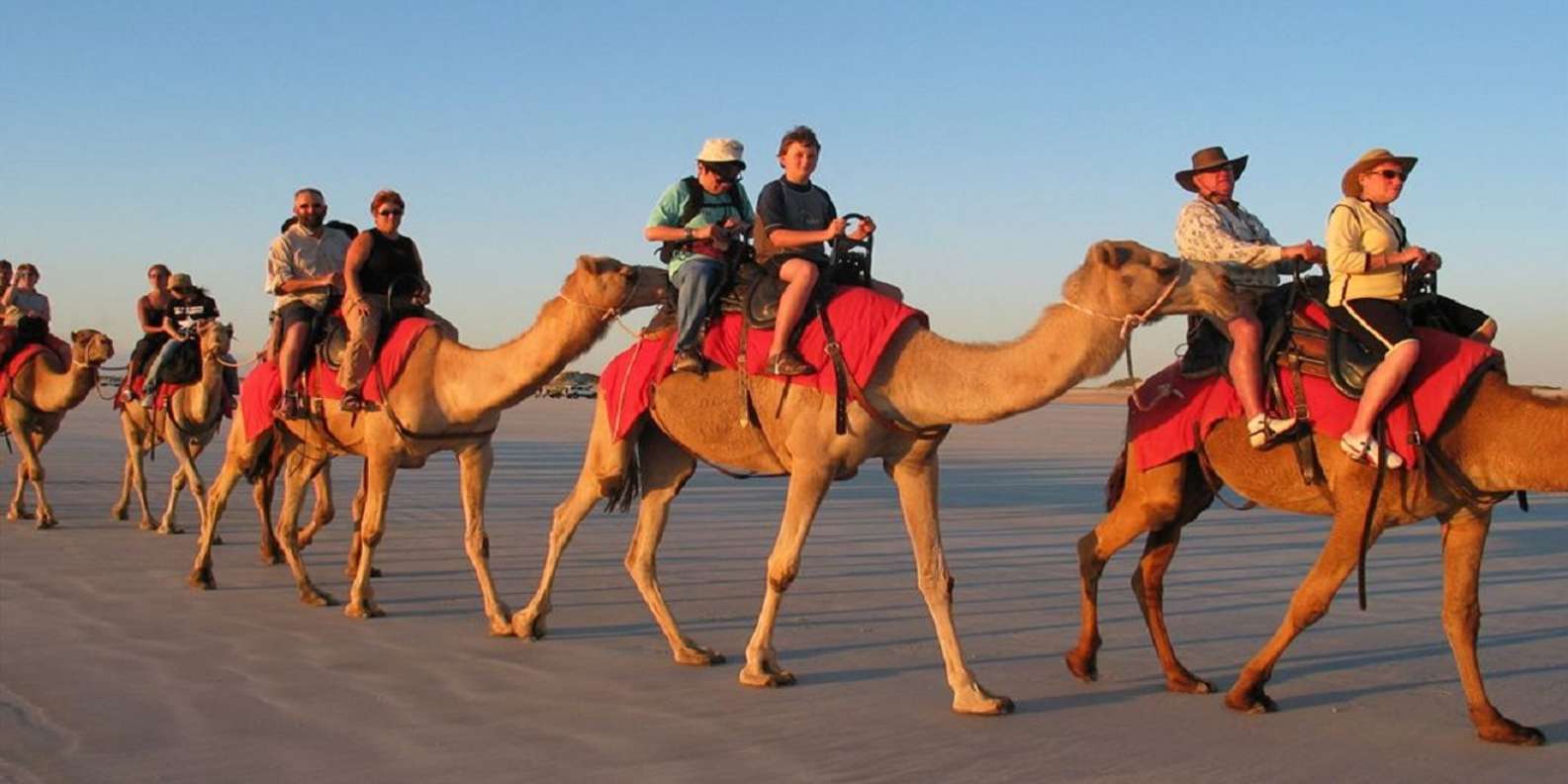 Luxor: Scenic Camel or Horse Ride
