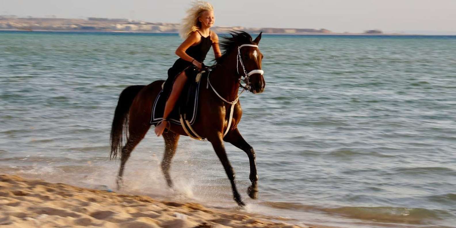 Makadi Bay: Desert & Sea Horse Riding w Guide + Transfers