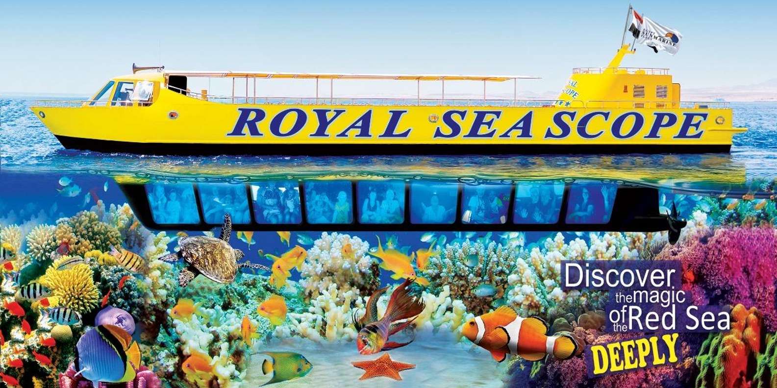 Makadi Bay: Royal Seascope Semi-Submarine Cruise & Snorkel