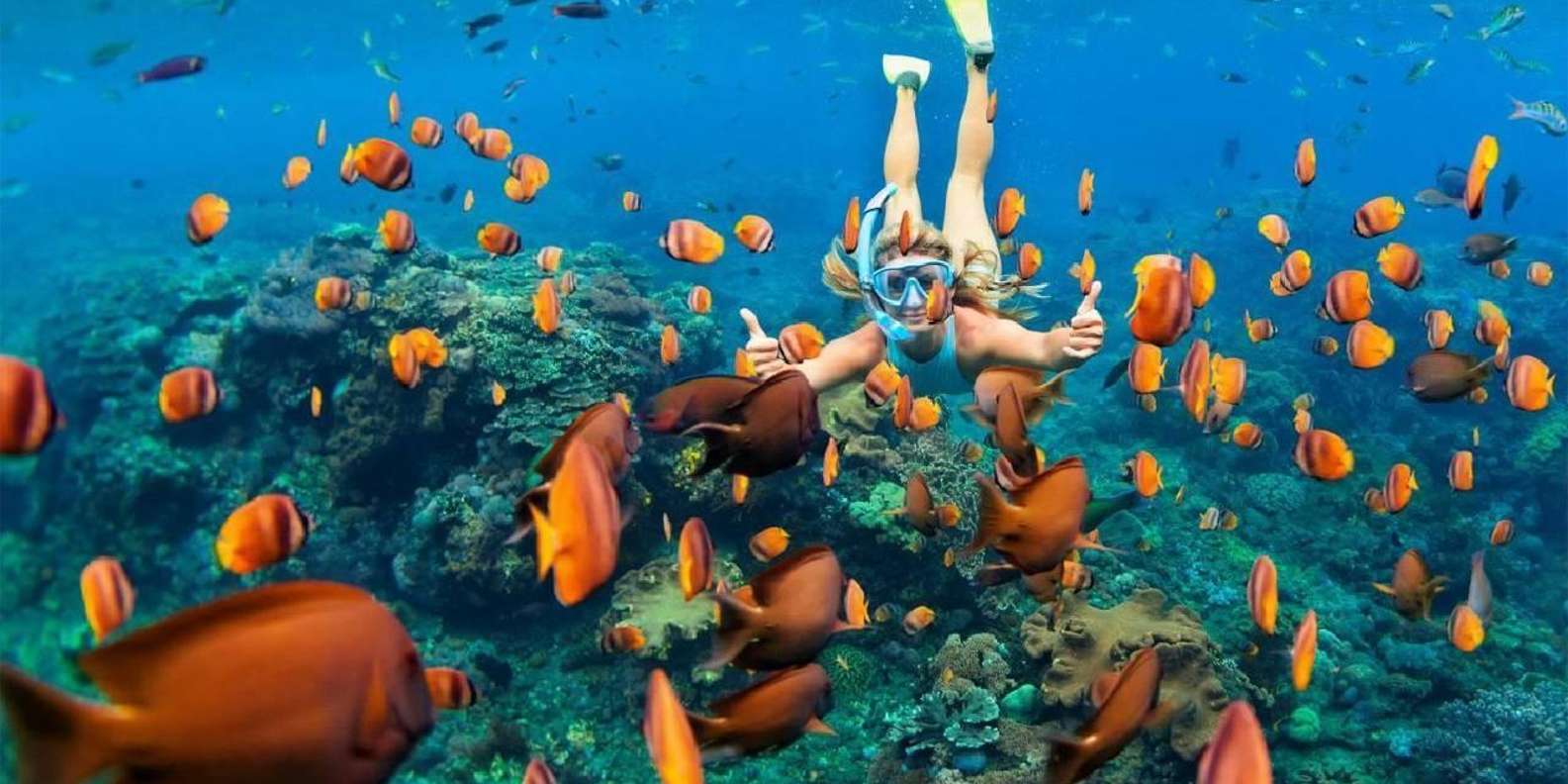 Sharm El Sheikh: Ras Mohammed Snorkelling Boat Tour