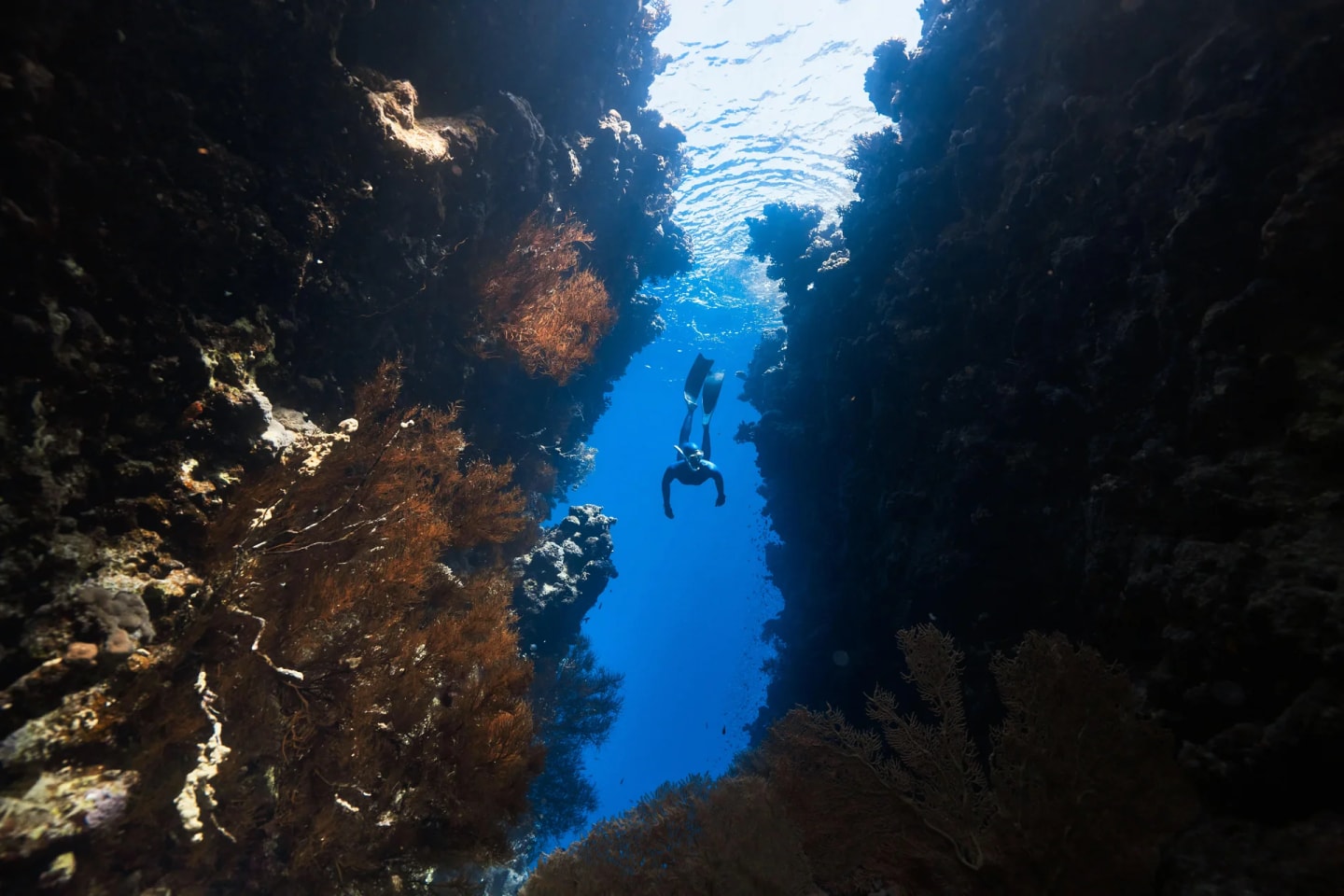 Scuba diving in Hurghada — diver exploring vibrant coral reefs and tropical fish in the Red Sea