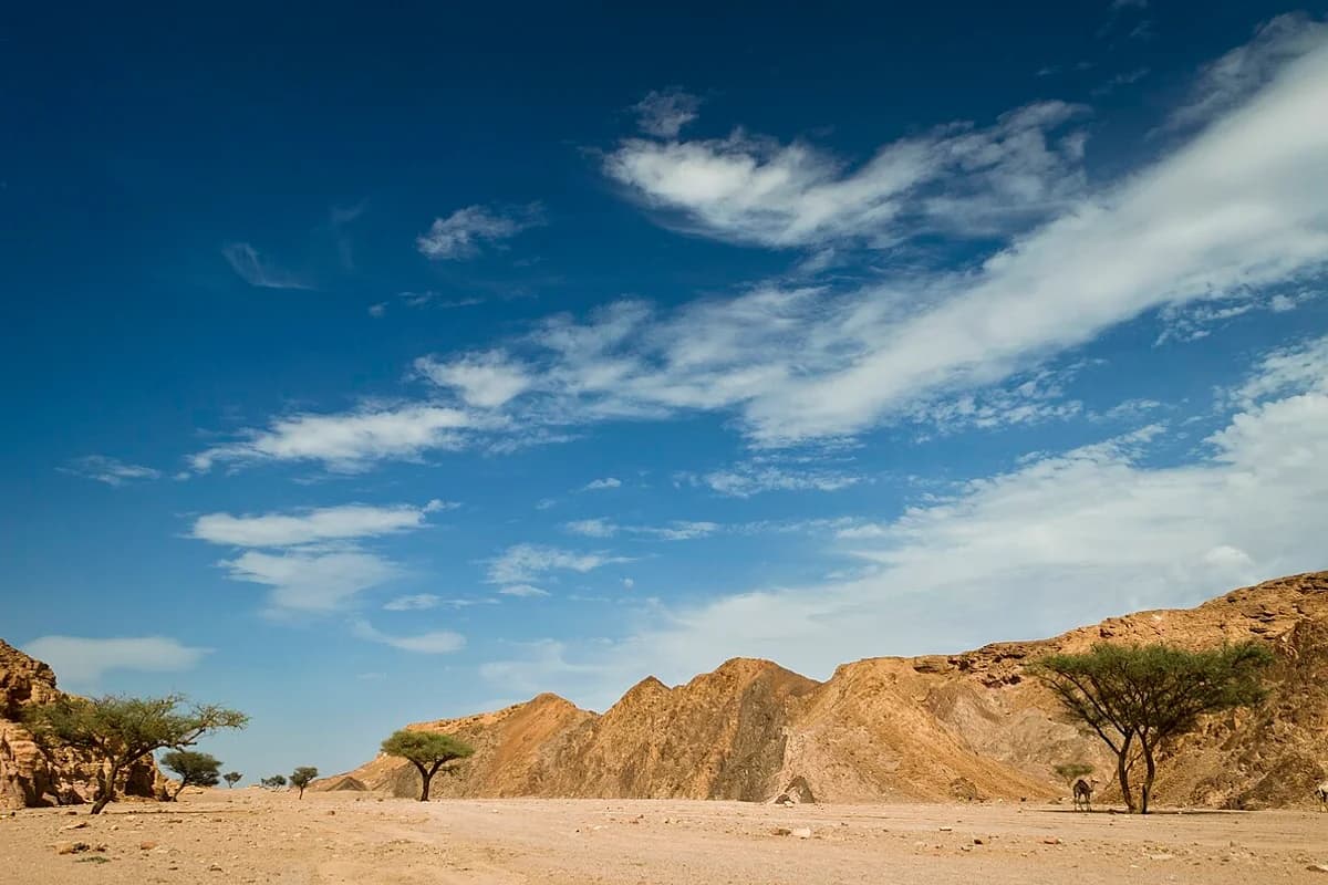 Parc national de Ras Mohammed