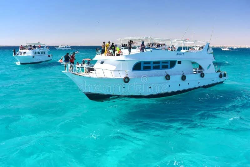 Choosing Red Sea Boat Tours: Local Pricing Guide