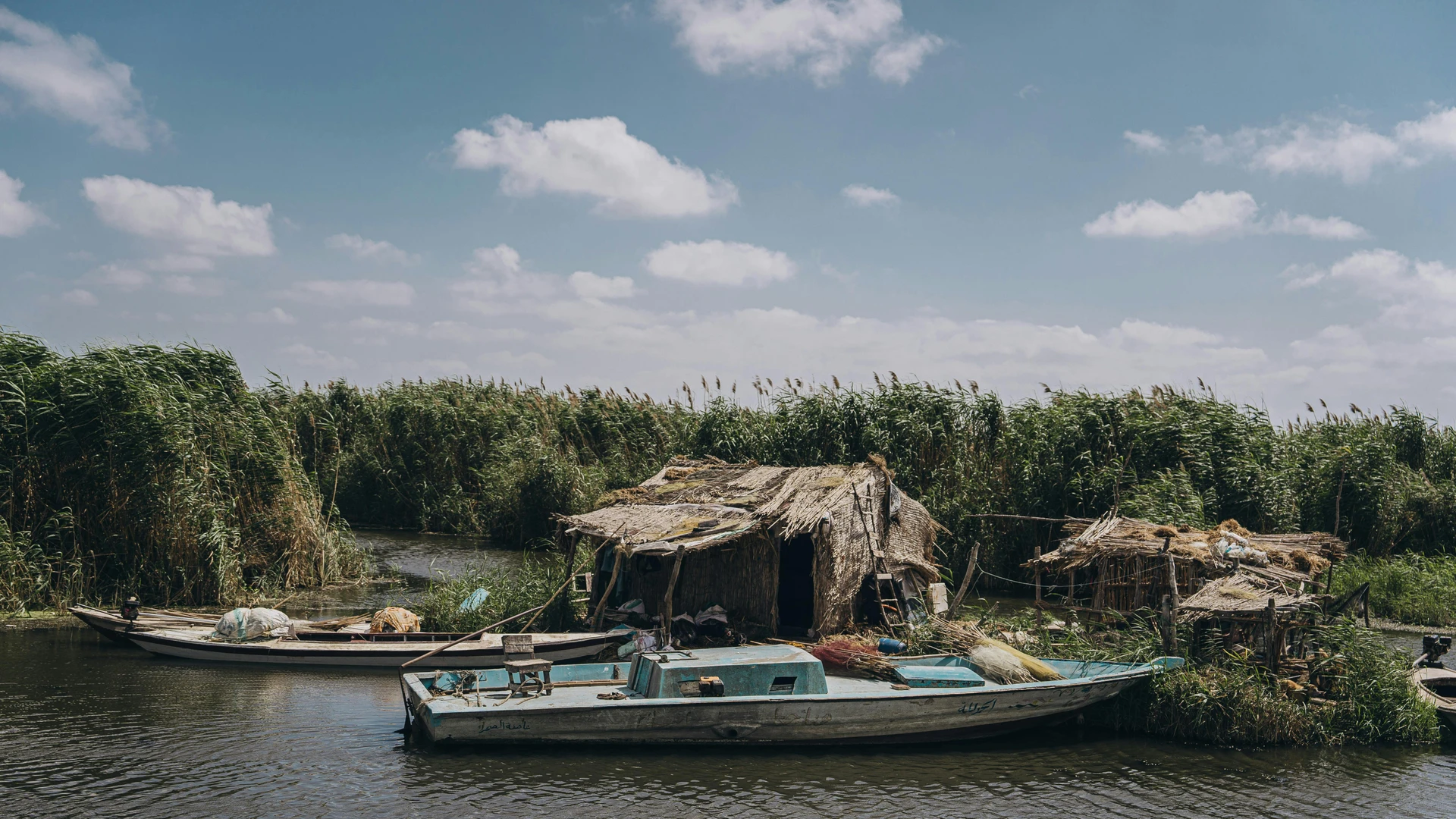 El Alamein, Egypt - Traditional boats moored by reeds on a tranquil river in kafr el-shaikh, egypt.