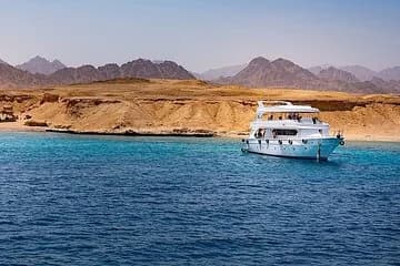 White Island and Ras Mohamed Cruise Adventure from Sharm ElSheikh - Image 1
