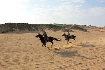 Two-Hour Desert and Sea Horse Riding Experience in Hurghada - Image 1
