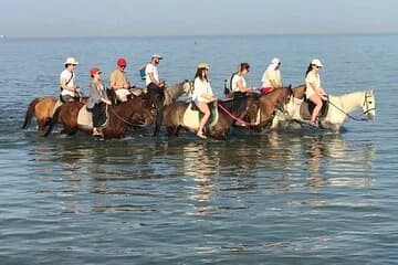 2 hours Horse Riding on The Sea and Desert- Hurghada - Image 1