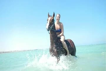 3 Hours Swimming By Horse on the Beach and Dessert in Hurghada - Image 1