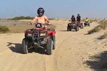 3 Hours Safari Morning or Afternoon By ATV & Camel - Marsa Alam - Image 1