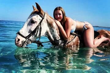 3 Hours Swimming By Horse in Red Sea Riding on the Beach and Dessert - Hurghada - Image 1