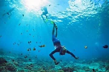 Coral Garden, Snorkeling & Diving Adventure & Lunch - Marsa Alam - Image 1