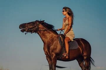 Experience Camel or Horse Ride with Transfers – Sharm El Sheikh - Image 1