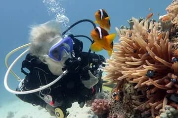 Hurghada Snorkeling Trip to Orange Bay Island - Image 1