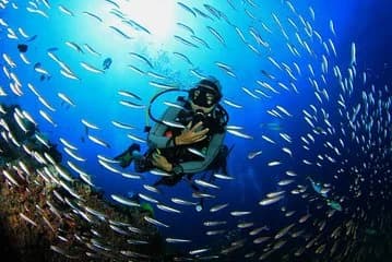Scuba Diving Boat Trip for beginners With Lunch&Transfer_Hurghdad - Image 1