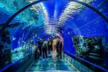 Hurghada Grand Aquarium Tour with Skip the Line Ticket - Image 1