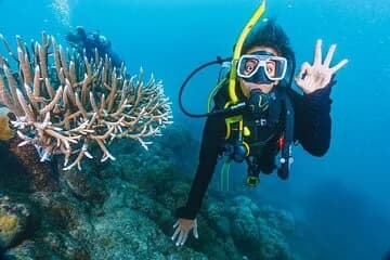 Daily Diving Experience with Lunch Included - Sharm El Sheikh - Image 1