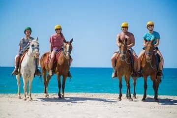 Horse riding experience on the beach or the desert in Hurghada - Image 1