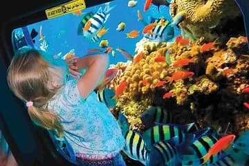 1-Hour Private Glass-Boat with Transfers In Sharm El Sheikh - Image 1