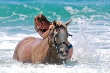 3-Hour Swim with Horses and Romantic Dinner from Hurghada hotels - Image 1
