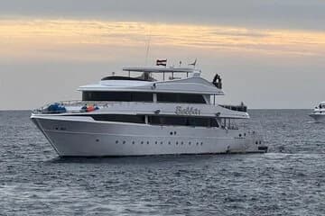 Snorkeling with Dolphins & Lunch In Sataya Reefs From Marsa Alam - Image 1