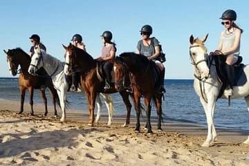 2 Hours Horse Riding on the beach and Desert from Hurghada - Image 1
