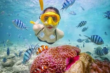 Nemo Island Snorkeling Cruise with Lunch From Hurghada - Image 1