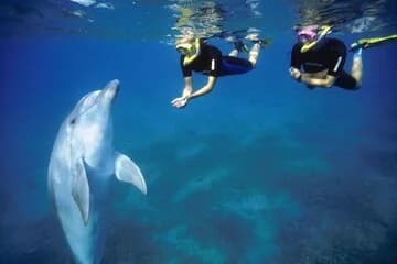 Hurghada Snorkeling Adventure: Giftun Island Day Trip - Image 1