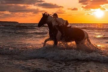 2-Hour of Horse Riding Experience by the Sea in Sharm El-Sheikh - Image 1