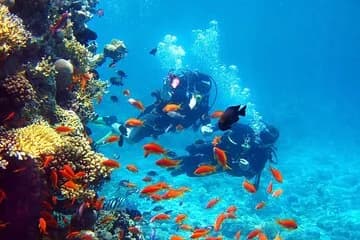 Full-Day Snorkeling and Scuba Diving Excursion in Hurghada - Image 1