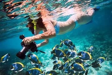 Snorkeling tour by boat and Intro Diving adventure - Image 1