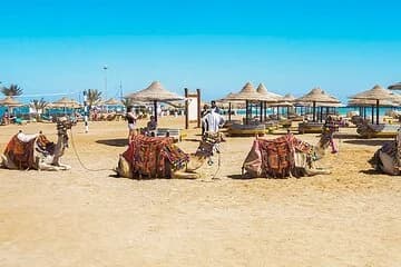 Makadi Bay Camel Ride Experience - Image 1